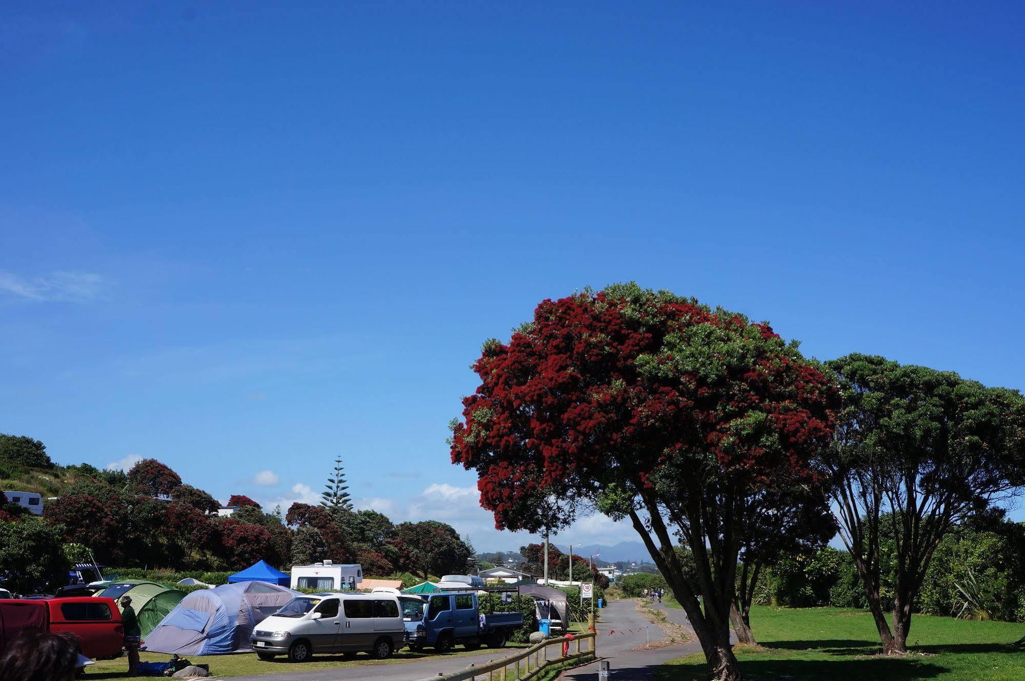 Fitzroy Beach Holiday Park نيو بلايموث المظهر الخارجي الصورة